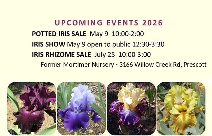 Upcoming Events 2026
