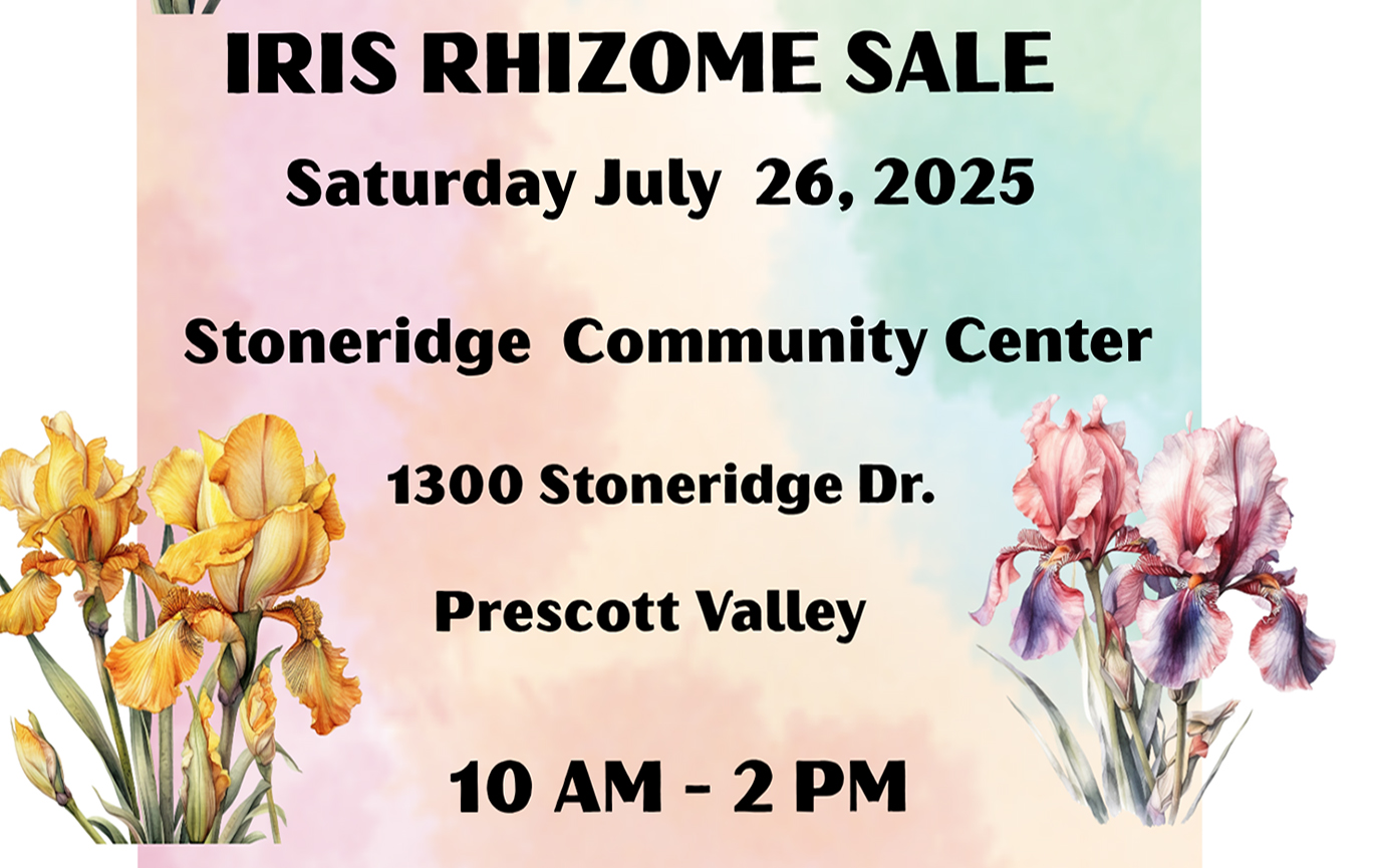 Iris Rhizome Sale